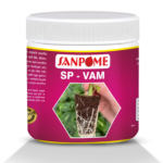 SP - VAM
