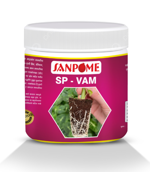 SP - VAM