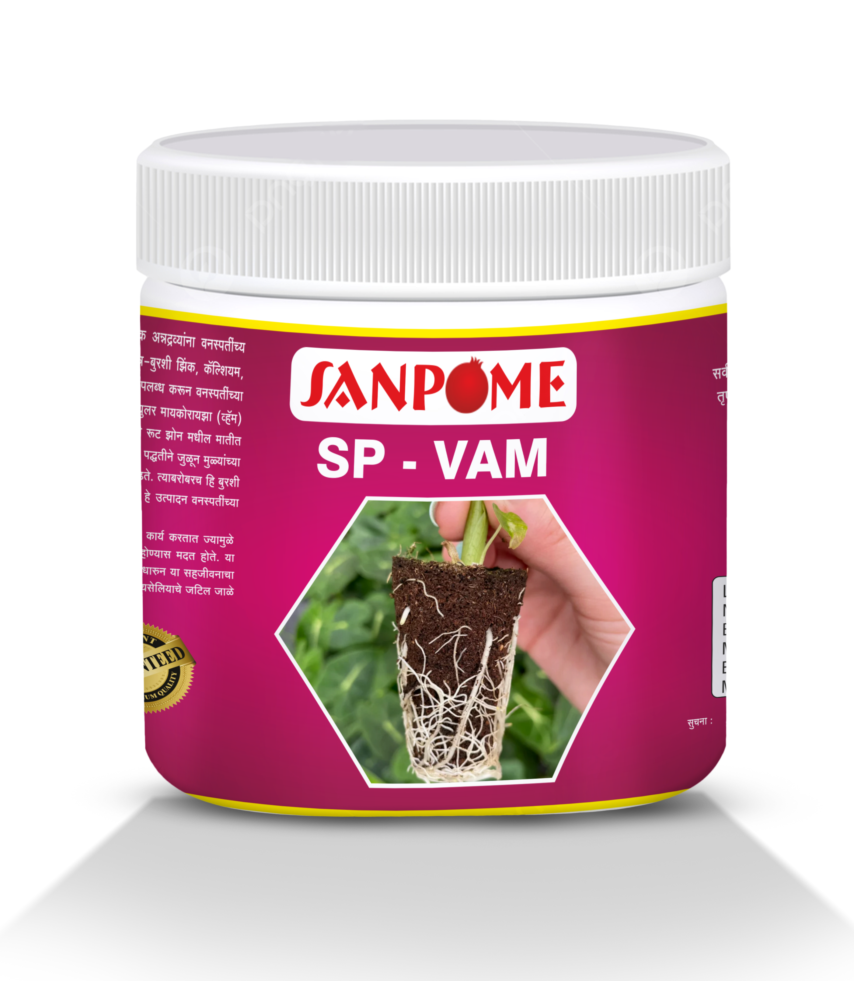 SP – VAM