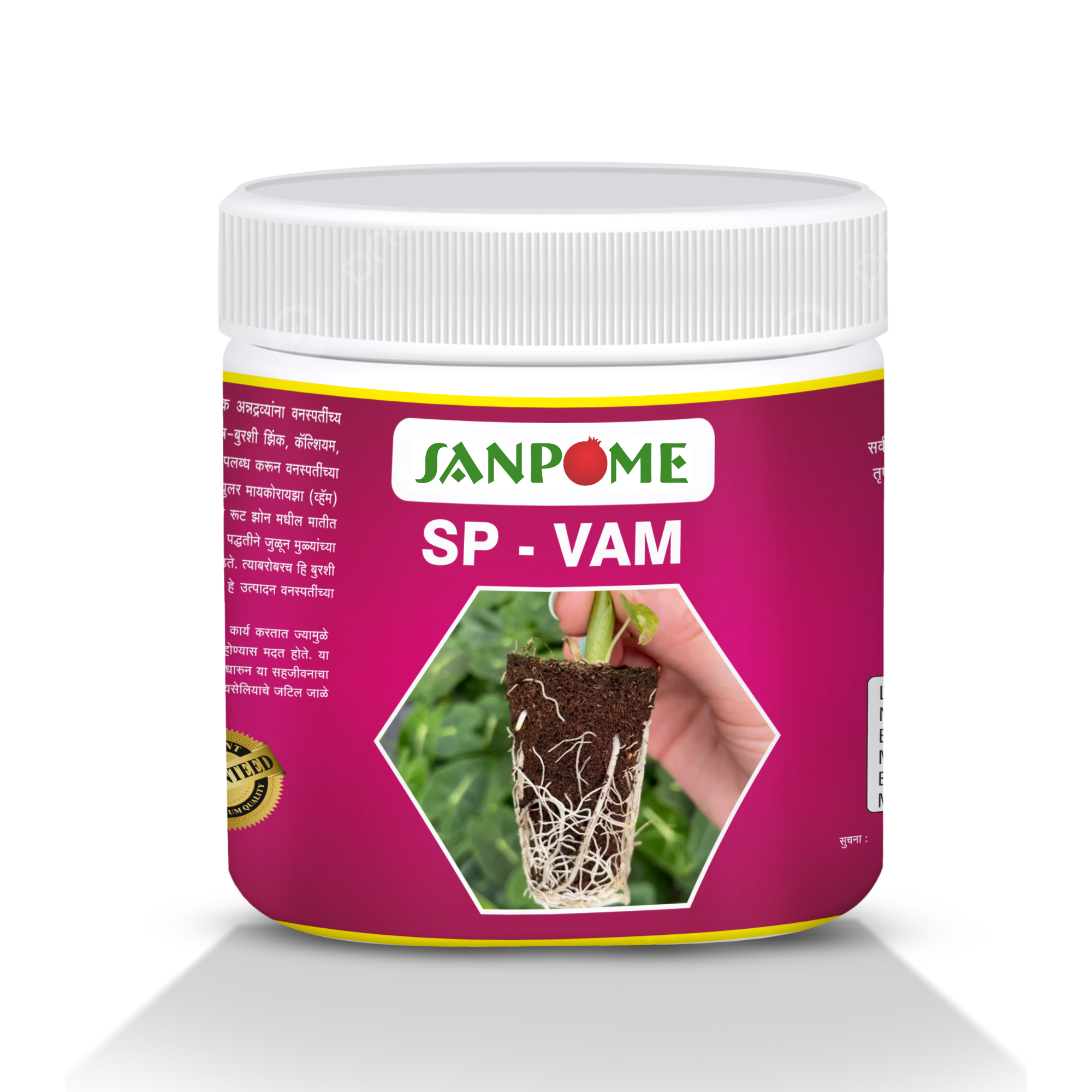 SP – VAM